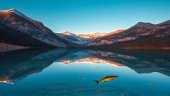 green acrylic, peaceful expression, coexisting with surroundings, photorealistic, clear lake with reflections of mountains, highly detailed, fish swimming below surface, realistic water effect, sapphire blues, soft twilight glow, shot with a 35mm lens.