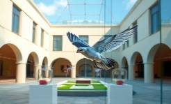 suspended plexiglass installation, innovative, interacting with environment, photorealistic, open-air museum courtyard, highly detailed, fluttering bird shadows, crystal precision, clear blue, diffused natural lighting, shot with a telephoto lens.